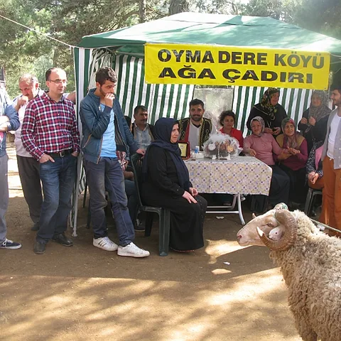 2014 Piknik — fotoğraf 174