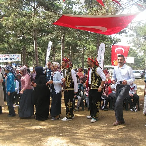 2014 Piknik — fotoğraf 184