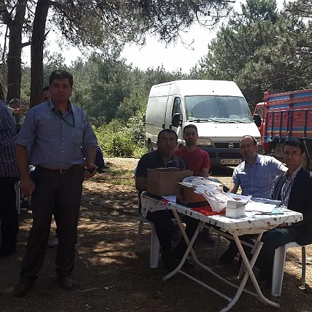 2015 Piknik — fotoğraf 2