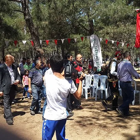 2015 Piknik — fotoğraf 8