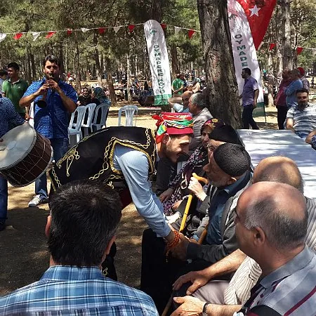 2015 Piknik — fotoğraf 9