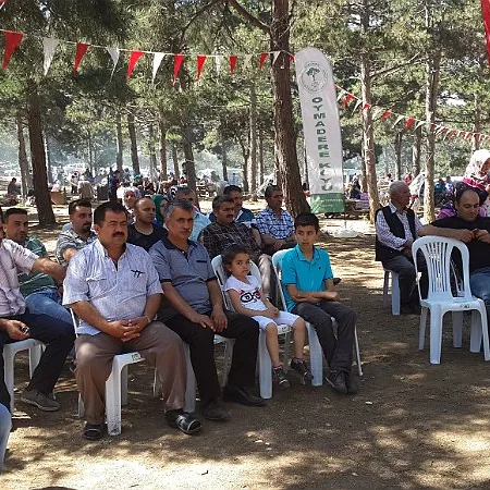 2015 Piknik — fotoğraf 28
