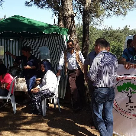 2015 Piknik — fotoğraf 31