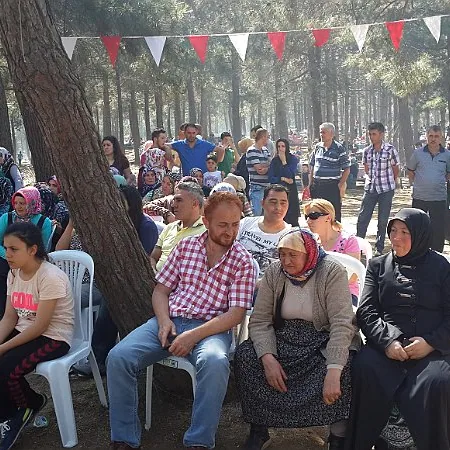 2015 Piknik — fotoğraf 43