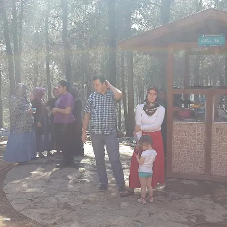 2015 Piknik — fotoğraf 46