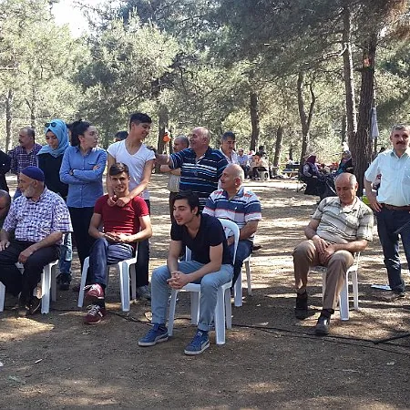2015 Piknik — fotoğraf 47