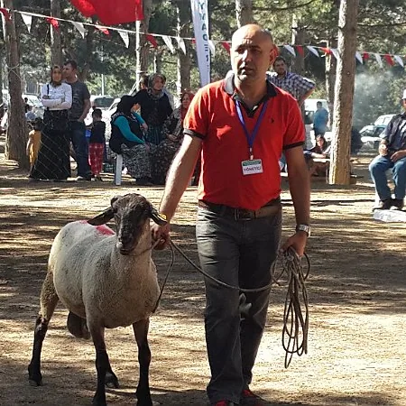 2015 Piknik — fotoğraf 49
