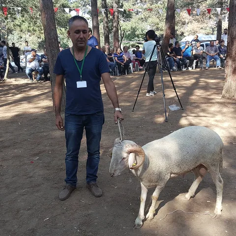 2018 Piknik — fotoğraf 38