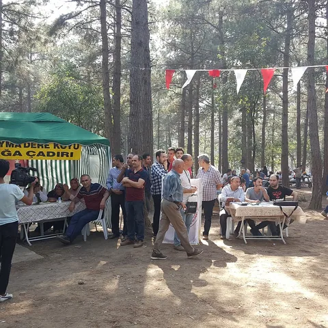 2018 Piknik — fotoğraf 41