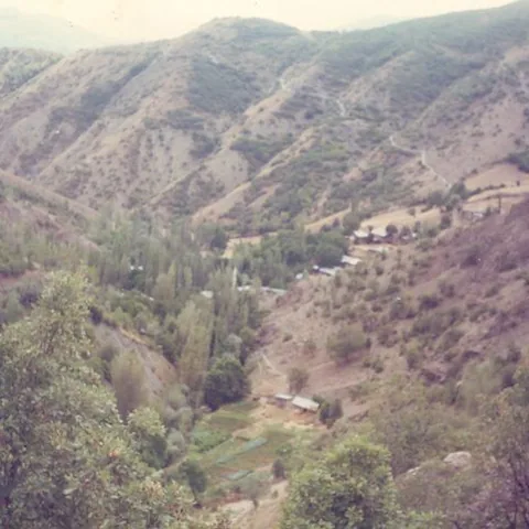 Alim Yıldız'ın Fotoğrafları — fotoğraf 2