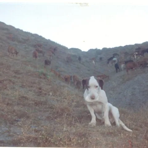 Alim Yıldız'ın Fotoğrafları — fotoğraf 3