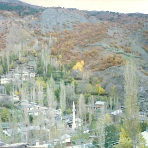 Alim Yıldız'ın Fotoğrafları — fotoğraf 7