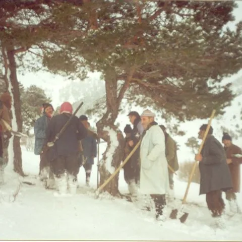 Alim Yıldız'ın Fotoğrafları — fotoğraf 8
