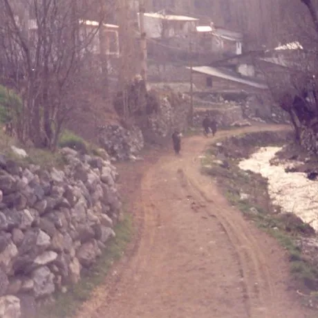 Alim Yıldız'ın Fotoğrafları — fotoğraf 13