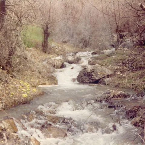 Alim Yıldız'ın Fotoğrafları — fotoğraf 14