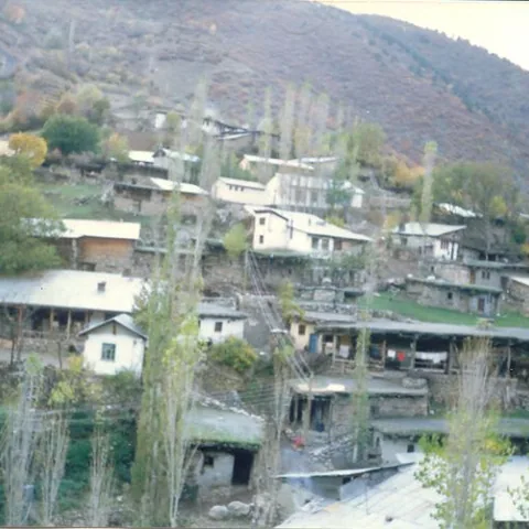 Alim Yıldız'ın Fotoğrafları — fotoğraf 15