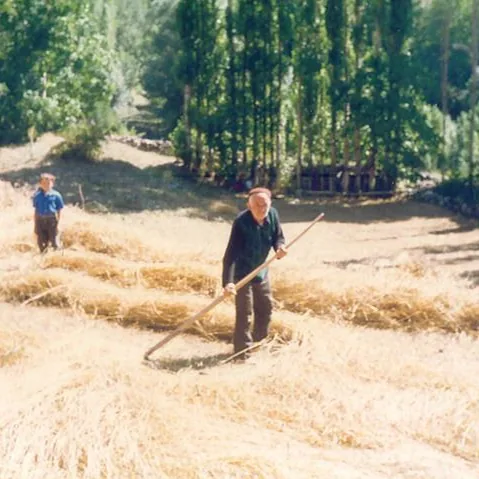 Bekir Keskin'in Fotoğrafları — fotoğraf 4