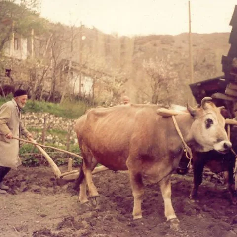 Bekir Keskin'in Fotoğrafları — fotoğraf 23