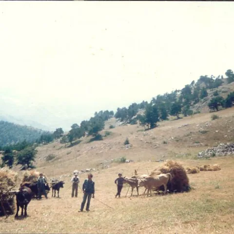 Davut Ulugöl'ün Fotoğrafları — fotoğraf 26