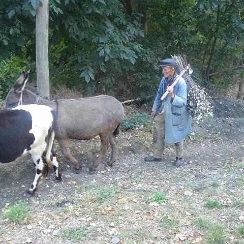 Fatih Akpınar'ın Fotoğrafları — fotoğraf 84