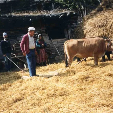 Fikret Keskin'in Fotoğrafları — fotoğraf 4
