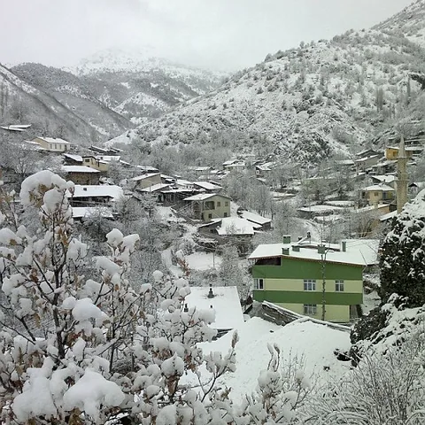 Köyün Kış Fotoğrafları — fotoğraf 33