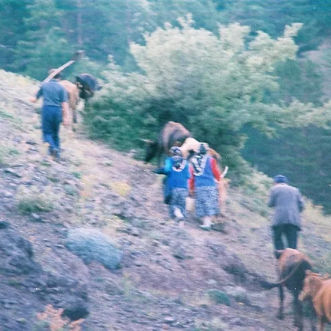 Yayla Göçü — fotoğraf 1