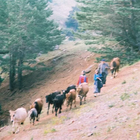 Yayla Göçü — fotoğraf 4