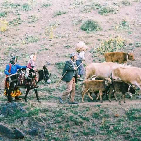 Yayla Göçü — fotoğraf 7