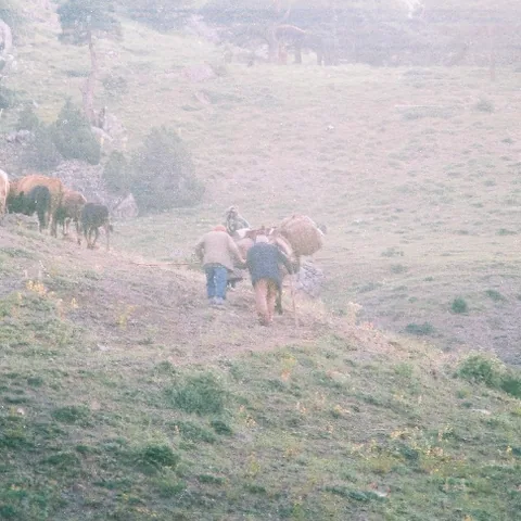 Yayla Göçü — fotoğraf 8