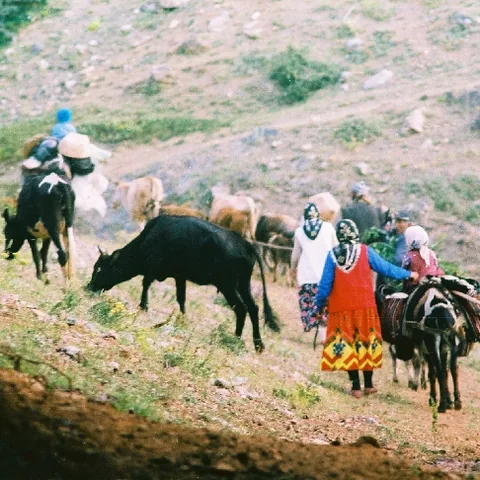 Yayla Göçü — fotoğraf 9